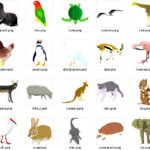 動物タイプの守護霊、「守護動物霊」の種類一覧と特徴について