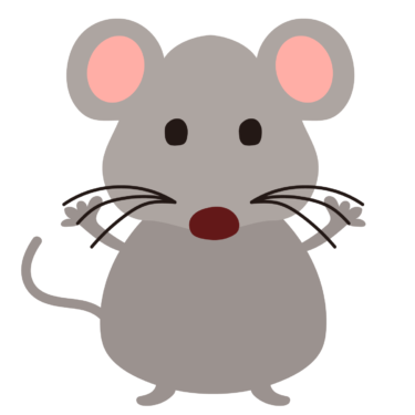ネズミの持つ5つのスピリチュアルな力と3つのスピリチュアルな意味