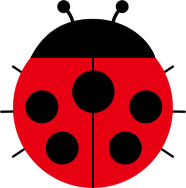 てんとう虫の持つ4つのスピリチュアルな力と3つのスピリチュアルメッセージ