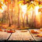 秋に行うべき5つのスピリチュアルなこととは？