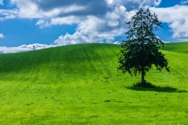 地属性の人の10のスピリチュアルな特徴とは？