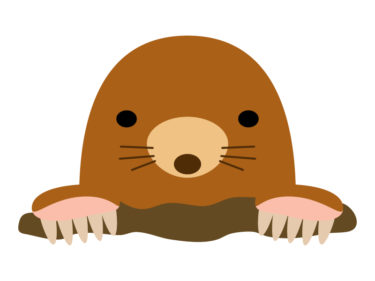 モグラの知られざる5つのスピリチュアルな秘密とは？