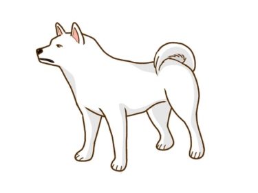 白い犬の守護動物霊の驚異的な4つのスピリチュアルパワーと、味方につける方法について