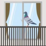 鳥がベランダにくることの5つのスピリチュアルな意味とは？