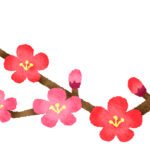 梅の花が持つスピリチュアルな力と意外な開運活用法